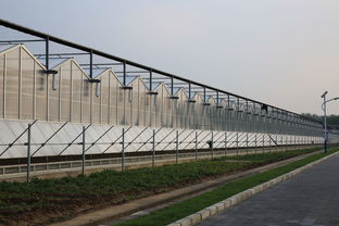 设施农业概述 温室与大棚的区别及利禾科技的材料与配套设施设计