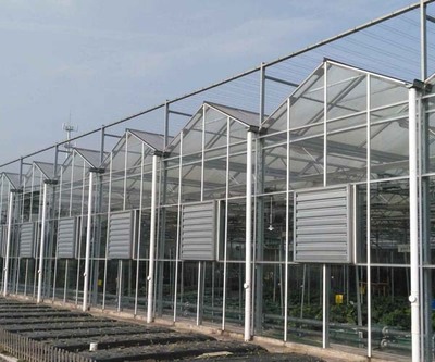 温室大棚材料全解析 瑞众农业与常见农业温室类型