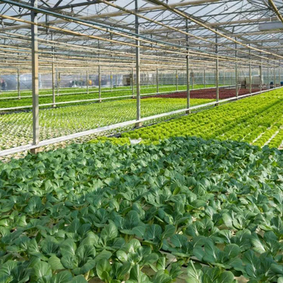 现代农业温室设计与配套设施优化分析——以玻璃温室、薄膜温室与无土栽培为例
