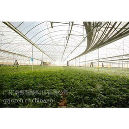 智慧农业之选 卓振智能，大棚种植的领先解决方案