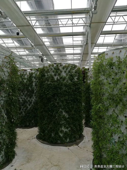 智能温室 现代农业的盈利新引擎