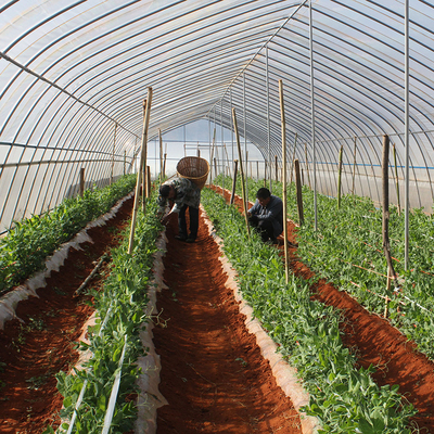玻璃温室、薄膜温室与无土栽培 农业温室大棚材料及配套设施的设计要点