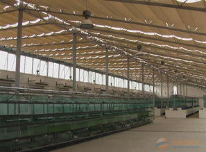 温室农业产业链全景 品牌、采购、图片与批发中的大棚材料及配套设施设计