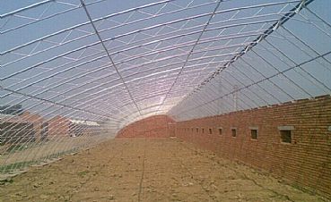 花卉温室大棚的现代化优势 从基础建设到专业园艺服务