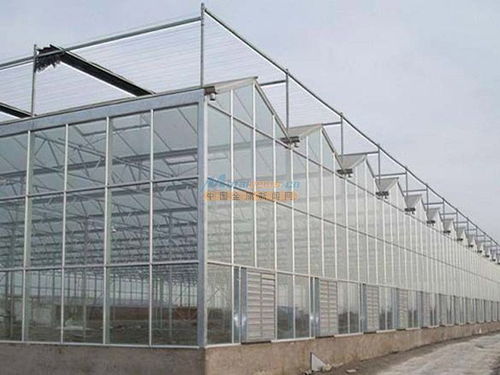 专业温室大棚建设 材料选择与配套设施设计的全面解析