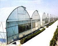 陕西温室销售 622连体大棚、7430连栋温室等产品信息详解与大棚材料配套设施设计