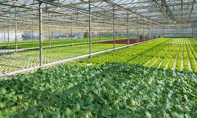 温室大棚恒温种植节能改造优选空气能热泵,价格低更实用